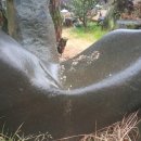 안골농장 이미지