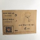 시연포장 | 대전북바 서재바 시연 방문후기 빈백룸,칵테일
