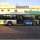 세한2호 Daum카페