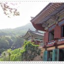 다산초당 이미지