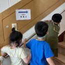 옥봉어린이집 | 군산 옥봉어린이집 6월 활동