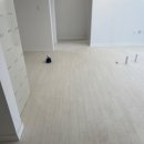 봉곡로-20 이미지