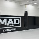 팀매드창원 네이버블로그