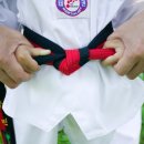 홍성21세기태권도체육관 이미지