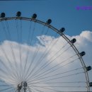 참사랑재가복지센터 이미지