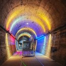 미자민박 | 경북 문경 볼거리 &#39;문경오미자테마터널&#39; 진남교 일대 가볼만한곳(ft. 영업시간, 입장료정보)