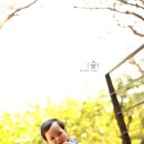 순수베이비 Daum카페