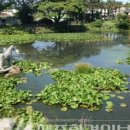 공동정호 이미지