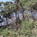 궁동근린공원 화장실 이미지