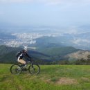 홍길동숲마을 이미지