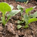 삼동초등학교 이미지