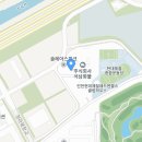 솔레아스파크
