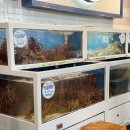 호인수산 | 시드니 수산시장 peter's 음식 종류 및 내돈내산 추천 음식과 비추천 음식들