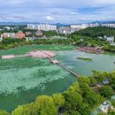 테마와 하루(지역축제 체험) 이미지