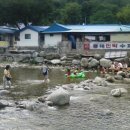 금자활어
