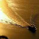 순천만습지 이미지