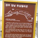 해파랑길(10~13구간) : 울산 정자항 ~ 포항 구룡포항 이미지