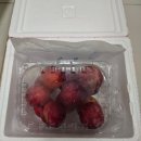 서우농장 | 과즙 가득 대석 피자두 은채와서우네 후기