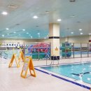 성남종합운동장 (스포츠센터) 이미지