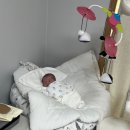 조기경보 | 제왕절개 초산모의 산후조리원 조기퇴소 후기