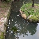 병산짬뽕