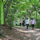 경기둘레길 안산49코스 이미지