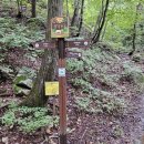 대관령옛길펜션 이미지