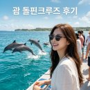파란투어 | 미국 괌 파란 돌핀 크루즈 투어 내돈내산 돌고래 와칭 성공 후기