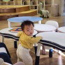 세븐일레븐 화성반송중앙점 | 아기랑 동탄 도서관, 평일에 다녀온 동탄 중앙 도서관 솔직 후기