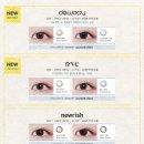 영도 콘텍트 렌즈 이미지