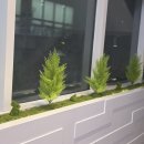 향기나는미용실 이미지