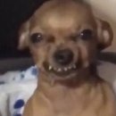 런던노래방 이미지