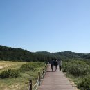신두리