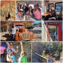 C ART MUSEUM | 미국 20박 21일 대장정 - 2편. 노스캐롤라이나 그린즈버러 후기