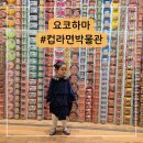 예술극장 창고 | 요코하마 아이랑 가볼만한 곳 추천｜컵라면 박물관 솔직 후기