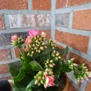 남면보건지소 이미지