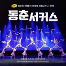 2367 | 안산 "대부도 가볼만한곳🚗 100년 전통 서커스🎪 공연 추천!" [동춘서커스] 솔직후기