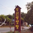 뚝배기영양탕 | 복날 다녀온 익산 삼계탕 맛집 함열 동신영양탕 후기