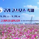 코스모스길14번길 이미지