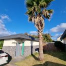 금복목장 이미지