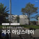 아담펜션 | 제주 판포포구 애견동반 독채펜션 아담스테이 내돈내산 후기