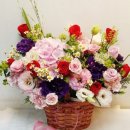 설록 선배님의 생신을 축하 드립니다. 이미지