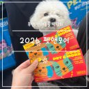 부산 반려동물 박람회 2026 펫앤모어 토리랑 애견동반 펫페어 다녀온 내돈내산 후기