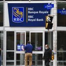 RBC 스캠 이미지