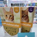 신보룡약국 이미지