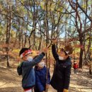 움사랑생태어린이집 이미지