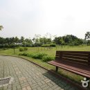 몽마르뜨 이미지