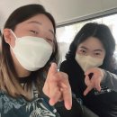 코끼리푸드 이미지