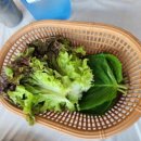 자갈치산꼼장어 이미지