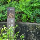 졸루정(拙陋亭) 이미지